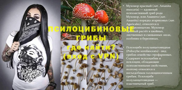 дживик Алексин