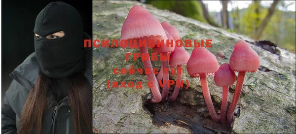 дживик Алексин