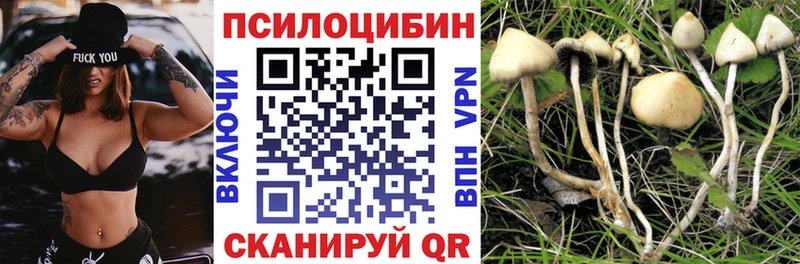 цена наркотик Славск Галлюциногенные грибы MAGIC MUSHROOMS
